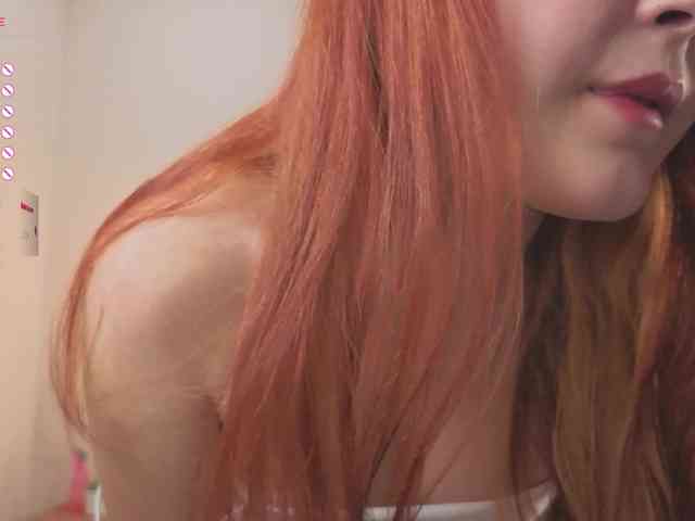 French-Eyes webcam