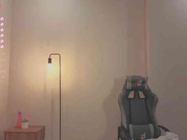 French-Eyes webcam