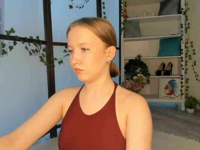 EvaSweet webcam