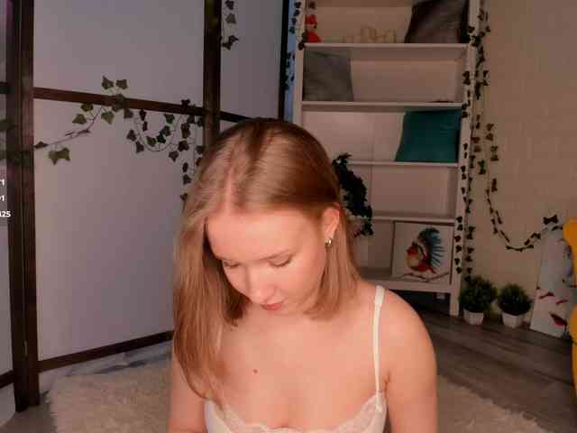 EvaSweet webcam