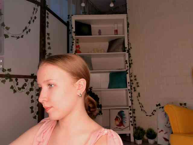 EvaSweet webcam