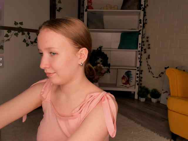 EvaSweet webcam