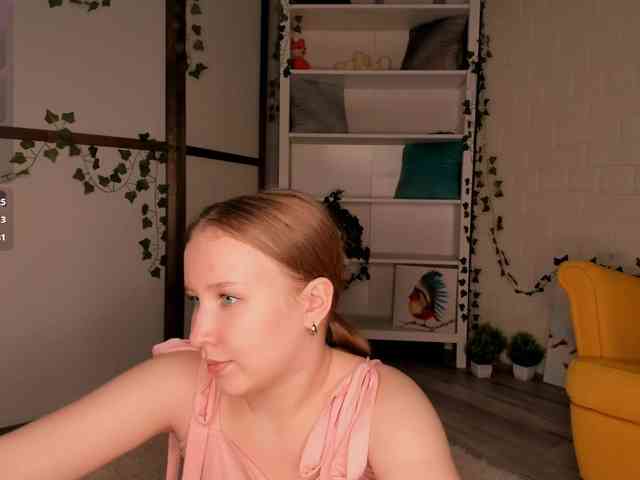 EvaSweet webcam