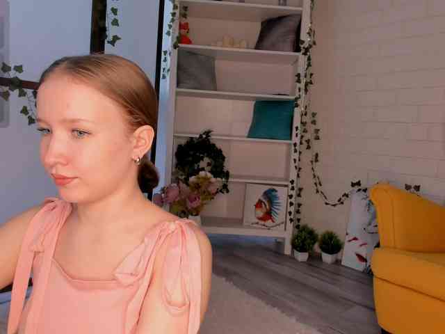 EvaSweet webcam
