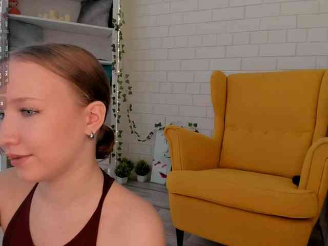 EvaSweet webcam