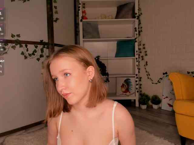 EvaSweet webcam