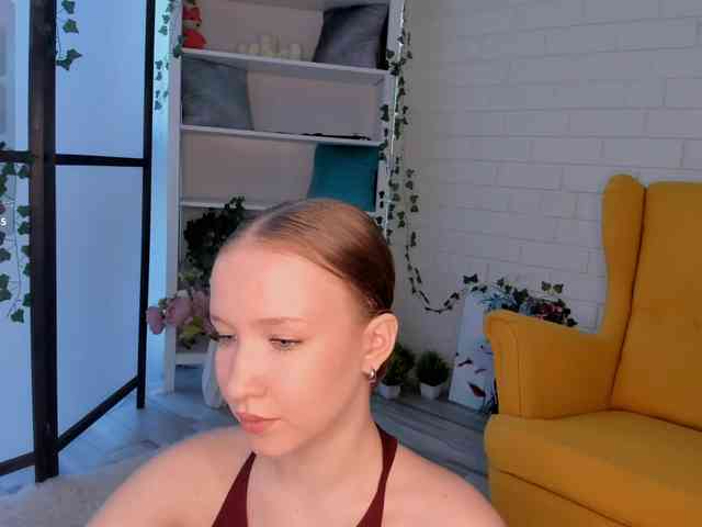 EvaSweet webcam