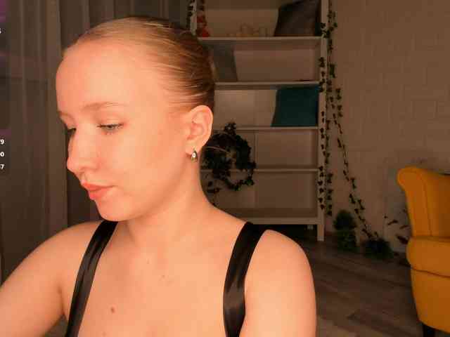 EvaSweet webcam