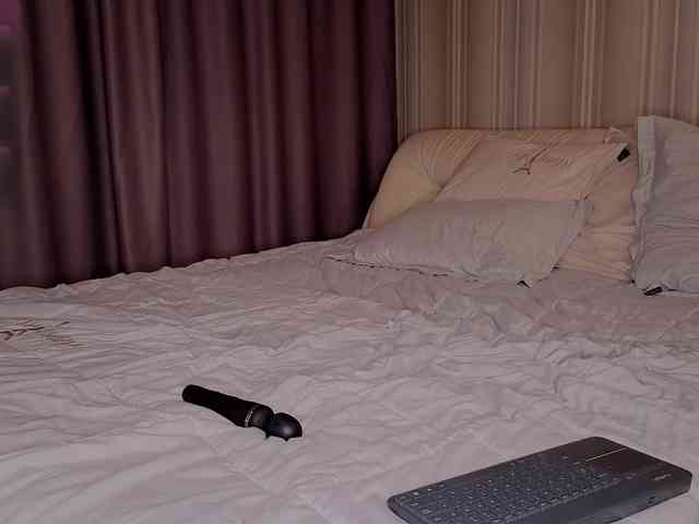 EvaSweet webcam
