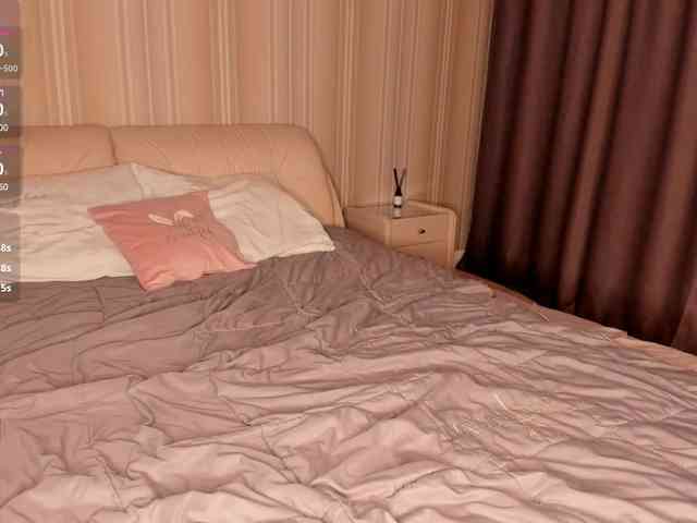 EvaSweet webcam