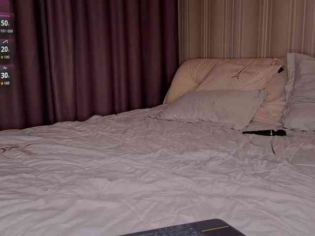 EvaSweet webcam