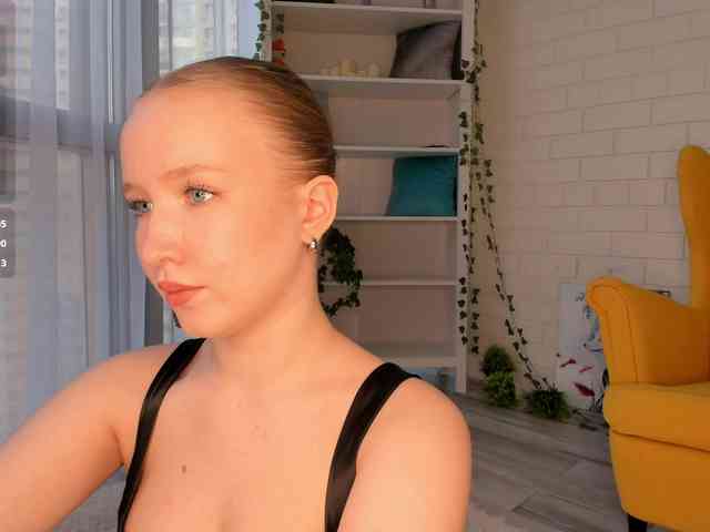 EvaSweet webcam