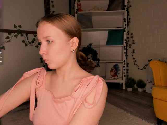 EvaSweet webcam