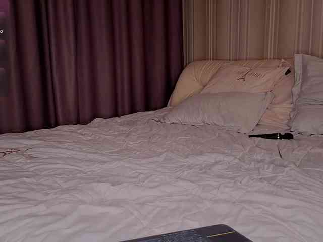 EvaSweet webcam