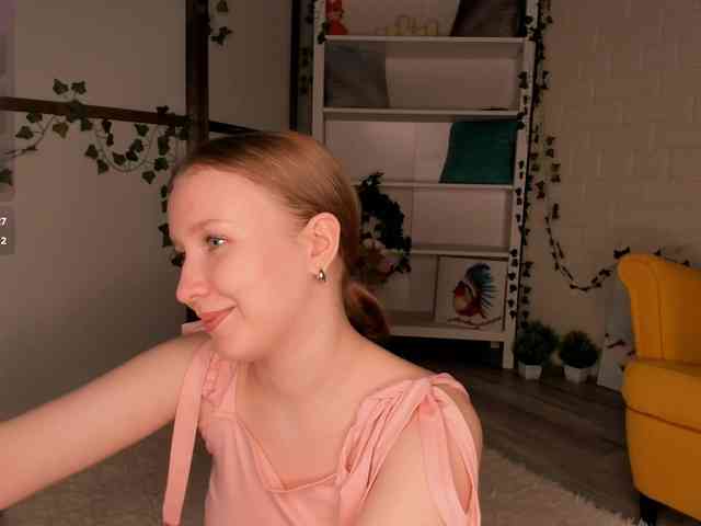 EvaSweet webcam