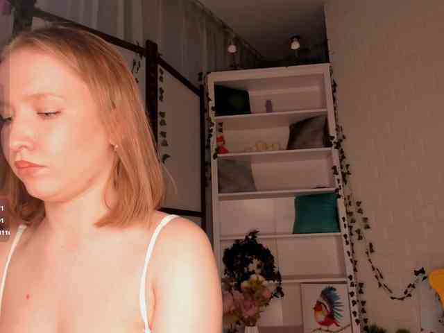 EvaSweet webcam