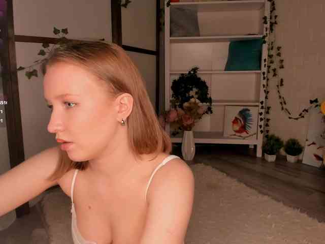 EvaSweet webcam