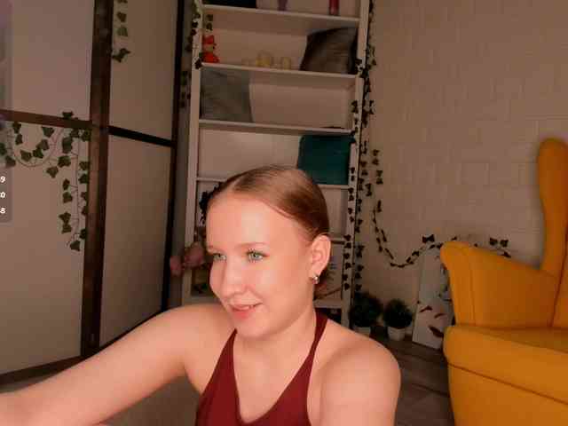 EvaSweet webcam