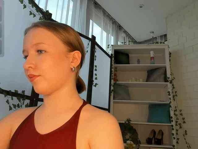 EvaSweet webcam