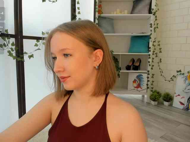EvaSweet webcam