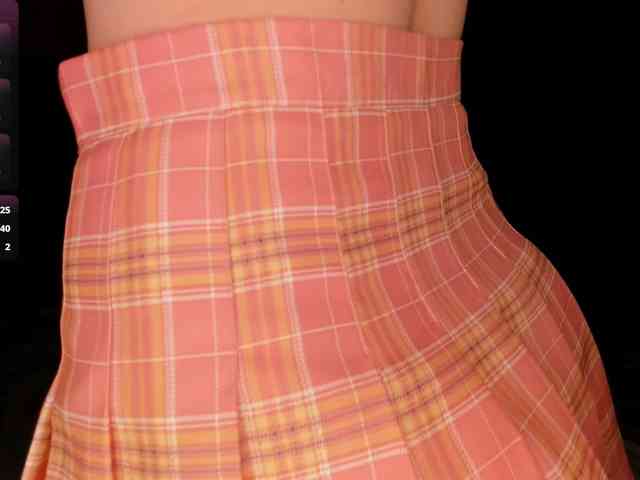 EvaSweet webcam