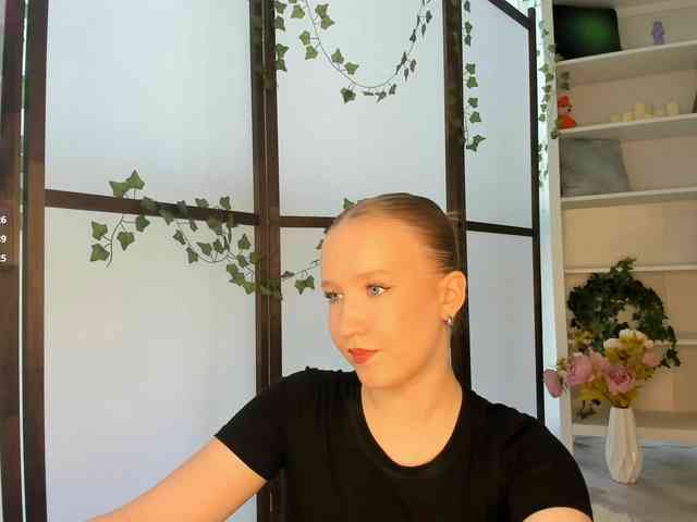 EvaSweet webcam