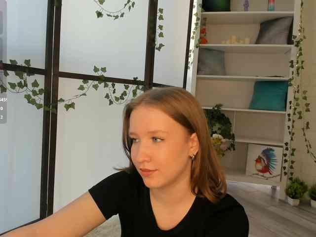 EvaSweet webcam