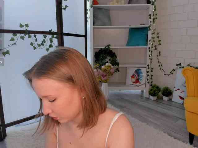 EvaSweet webcam