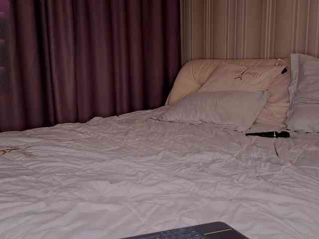 EvaSweet webcam