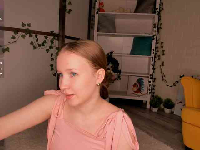 EvaSweet webcam