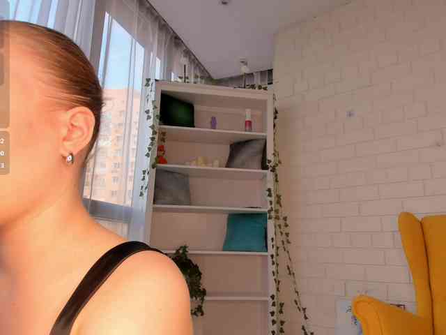 EvaSweet webcam