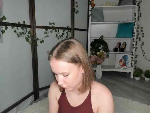 EvaSweet webcam