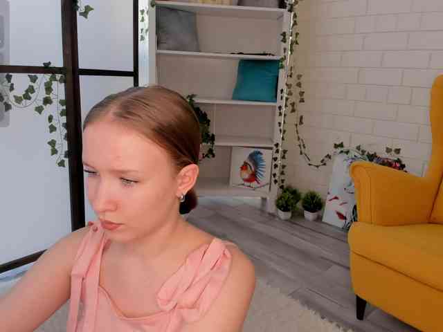 EvaSweet webcam