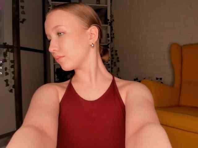 EvaSweet webcam