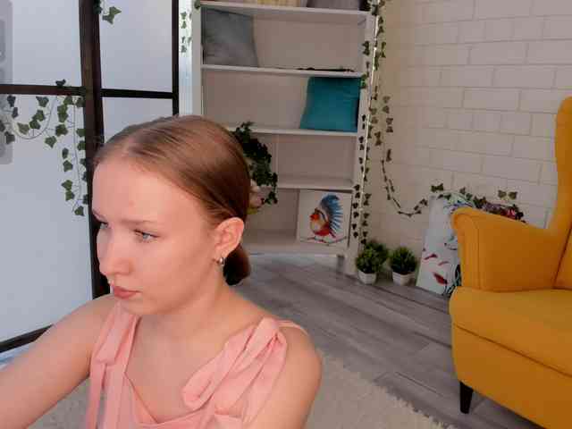 EvaSweet webcam