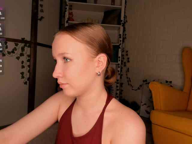 EvaSweet webcam