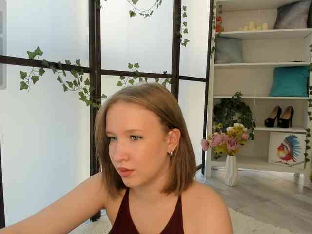 EvaSweet webcam