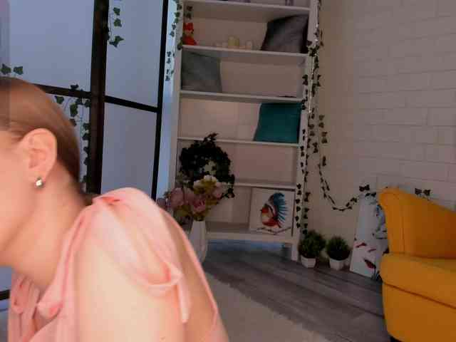EvaSweet webcam