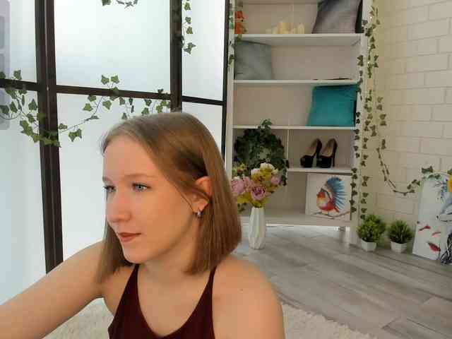 EvaSweet webcam