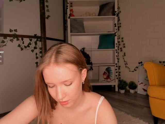 EvaSweet webcam