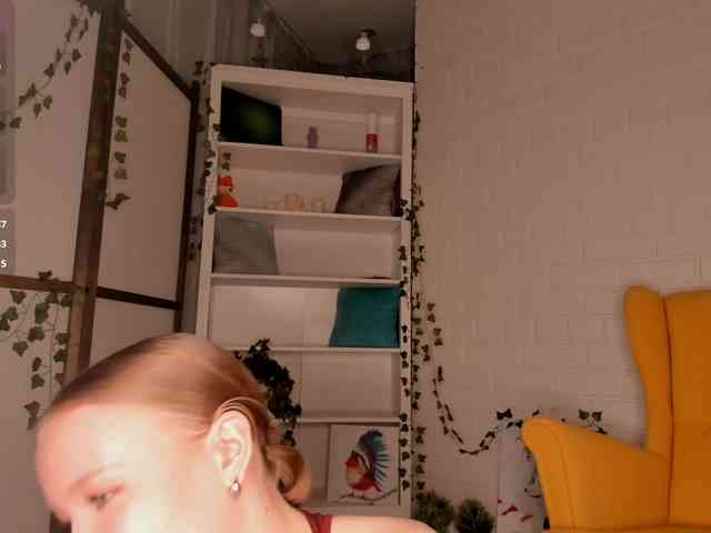 EvaSweet webcam