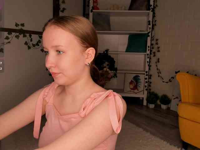 EvaSweet webcam