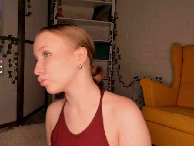 EvaSweet webcam
