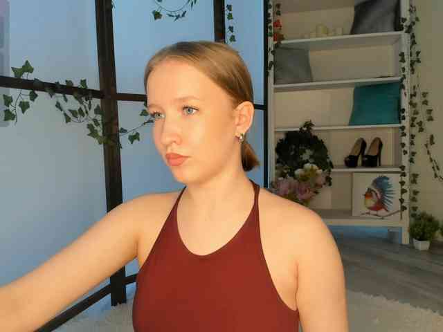 EvaSweet webcam