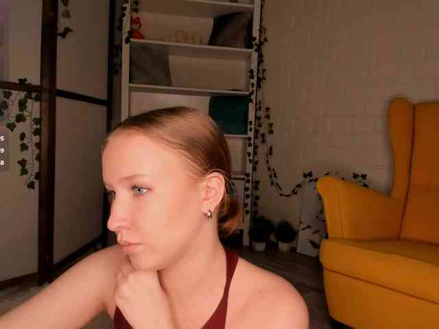 EvaSweet webcam