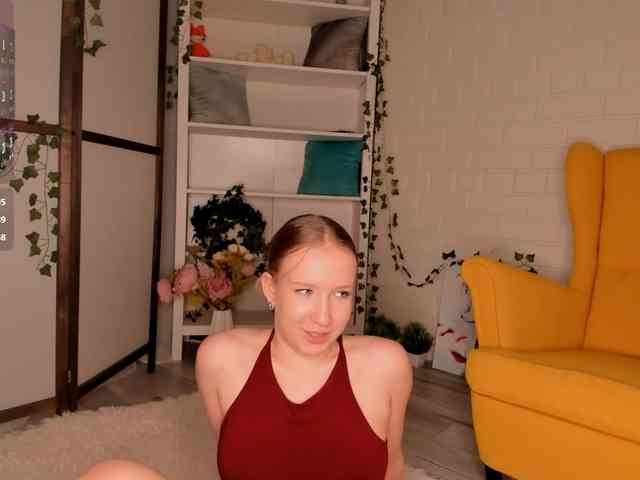 EvaSweet webcam