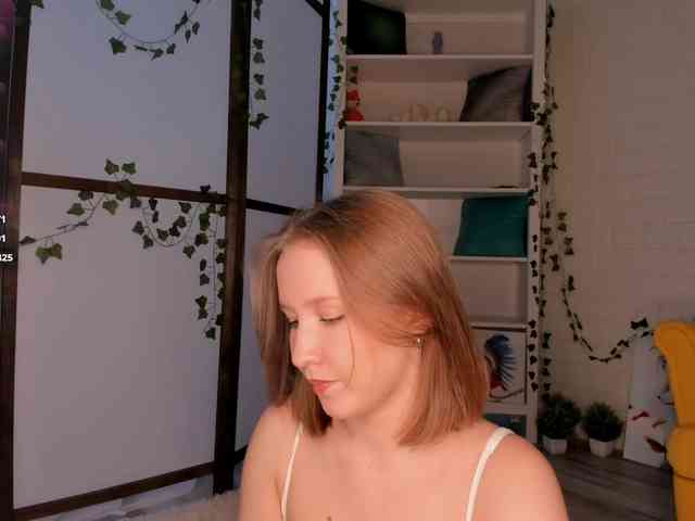EvaSweet webcam