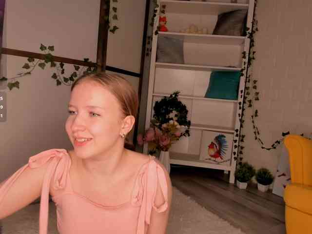 EvaSweet webcam