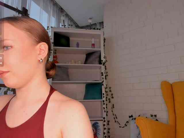 EvaSweet webcam