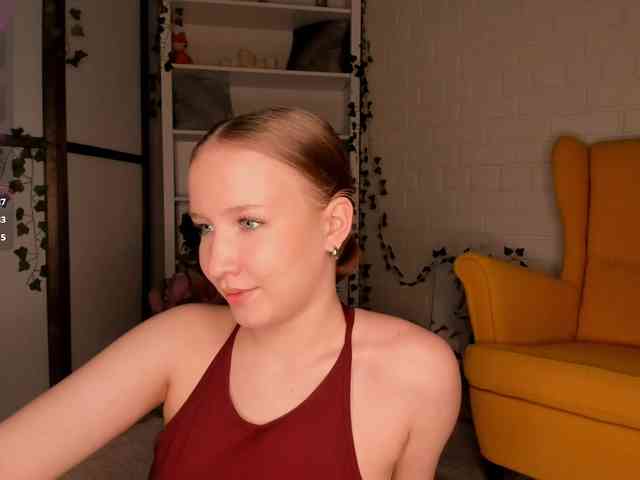EvaSweet webcam